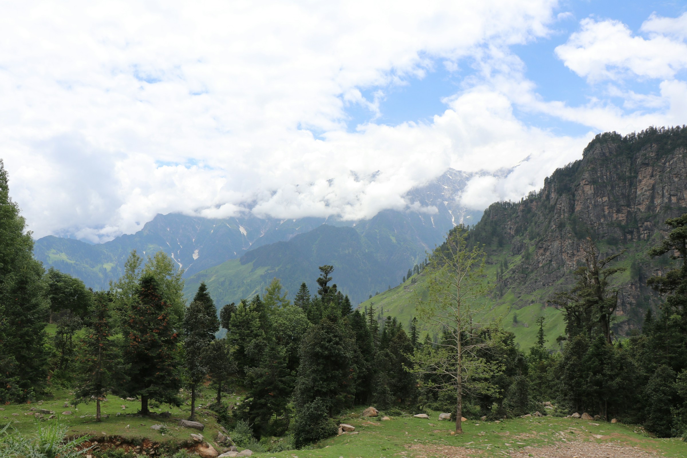 Clouds drift above the pine forests and mountains of Himachal Pradesh